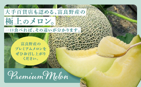 【2024年7月～発送】北海道 富良野市 青肉 メロン 1.6kg 1玉 フェリーチェ ふらの フルーツ 果物 ギフト 数量限定 (フラノプレゼンツ)