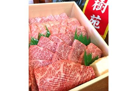 黒毛和牛　上焼肉セット（タレ付き）　500g / やき肉 上ロース  上バラ