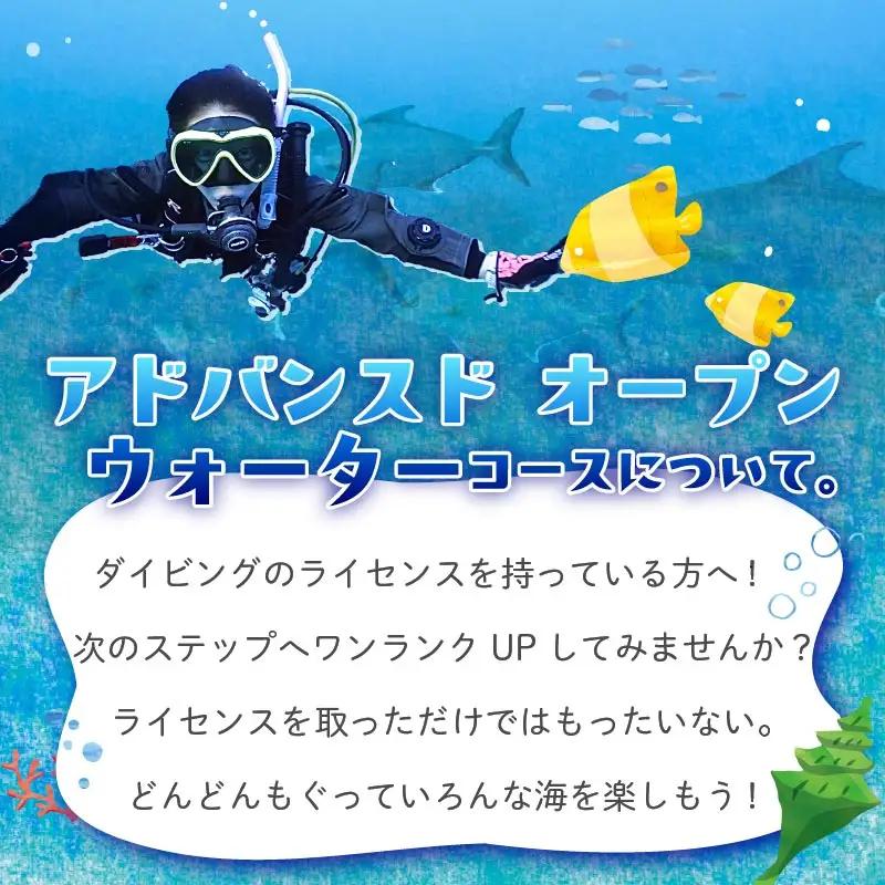 体験 チケット ダイビング アドバンスド オープン ウォーターコース 2日間 ダイビング