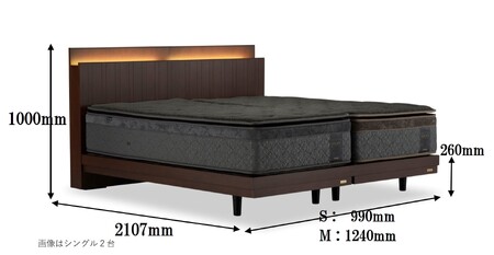 フランスベッド テレス02C 脚付きタイプ シングル（フレームのみ）S-229