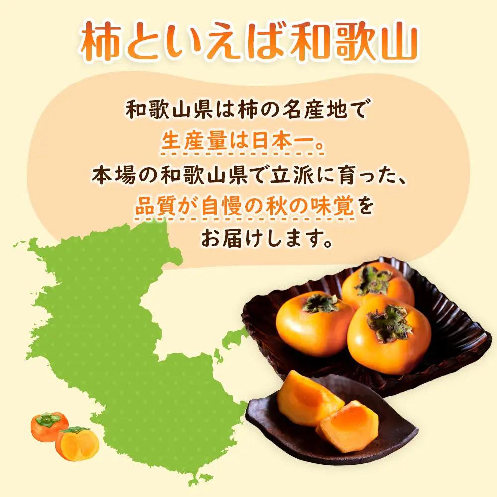【2026年10月上旬以降発送】 和歌山県産 平核無柿 ご家庭用 約1.5kg 満杯詰  柿 種無し たねなし ひらたね 訳あり