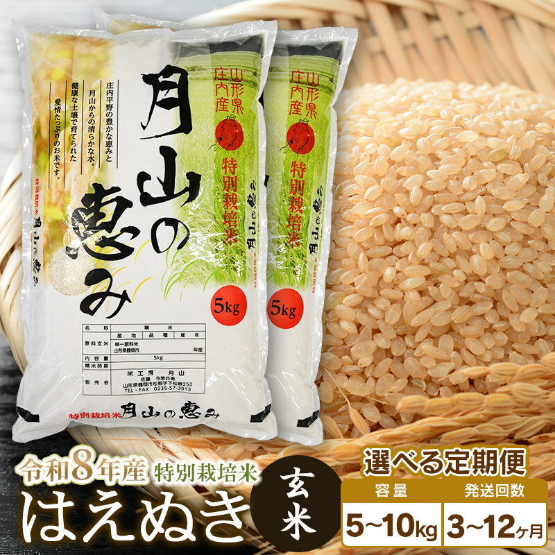【ふるさと納税】【令和8年産先行予約】【定期便】特別栽培米 はえぬき 玄米 選べる容量（5kg・10kg）・発送回数（3・6・12回） 毎月1回中旬発送 | 山形県 鶴岡市 お米 コメ おこめ 5キロ 玄米 ブランド米 美味しい