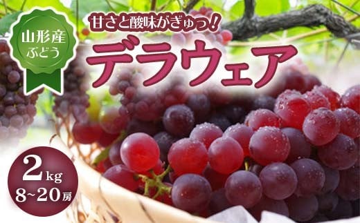 《先行予約 2026年度発送》デラウェア 2kg 8~20房 FSY-0504