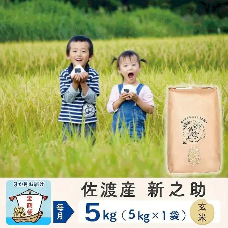 【定期便 3回 新米】玄米 5kg 計15キロ | 新之助 新潟県 佐渡市