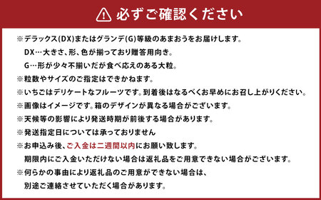 A159 【春】 あまおう 6パック いちご 【2025年2月上旬～3月下旬以降発送予定】