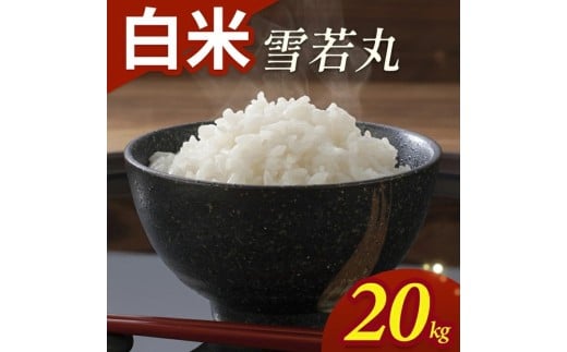 令和7年産【白米】雪若丸　20kg(5kg×4袋) YA SF0349