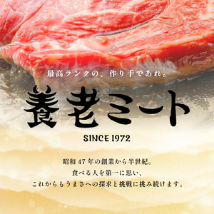 飛騨牛ロースステーキ用 200g×2枚【0091-005】