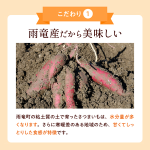 【数量限定】北海道雨竜町産 さつまいも 「栗かぐや」M-Lサイズ 2.5kg 大きめサイズ 産地直送 北海道 国産 おやつ お菓子作り 料理