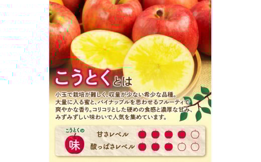  《先行受付》特選こうとくりんご約2.5kg 【2026年11月中旬頃～発送予定】【大江町産・山形りんご・大地農産・11月・12月】