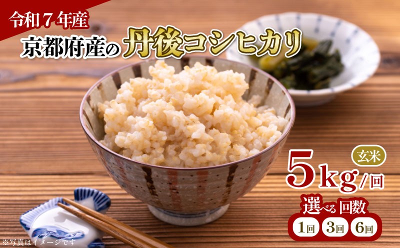 
            【 令和7年産 新米 】 京都府産 丹後コシヒカリ 玄米 5kg 特a 選べる 定期便 定期 1回 3回 6回 お米 5キロ 米 こめ コメ ごはん ご飯 コシヒカリ こしひかり 国産 ブランド米 ブランド 3か月 3ヶ月 6か月 6ヶ月 贈答 贈答品 ギフト 人気 ランキング 令和7年 2025年 2025新米 JA JA京都 京都府 京都 ふるさと納税
          