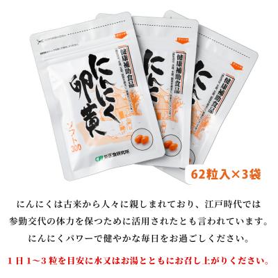 ふるさと納税 南さつま市 【健康補助食品】にんにく卵黄ソフト300(62粒入り×3袋) |  | 02