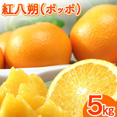 【ふるさと納税】紅八朔(ポッポ) 5kg(3L-L) JAわかやま 紀の里地域本部 《2027年3月中旬-3月末頃出荷》 和歌山県 紀の川市 果物 フルーツ 柑橘 はっさく 送料無料 紅 べにはっさく