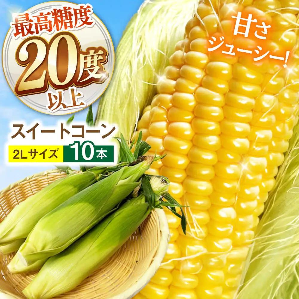【先行予約】とうもろこし 10本 [SGB008] | とうもろこし