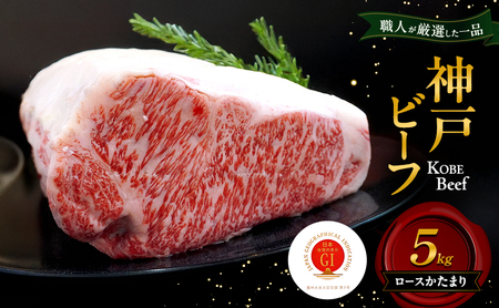 神戸ビーフ ロースかたまり 5kg 肉 牛肉 和牛 神戸牛 国産 霜降り ロース 兵庫県 洲本市 淡路島