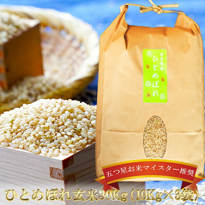 【ふるさと納税】盛岡市産ひとめぼれ玄米 30kg お米 ひとめぼれ