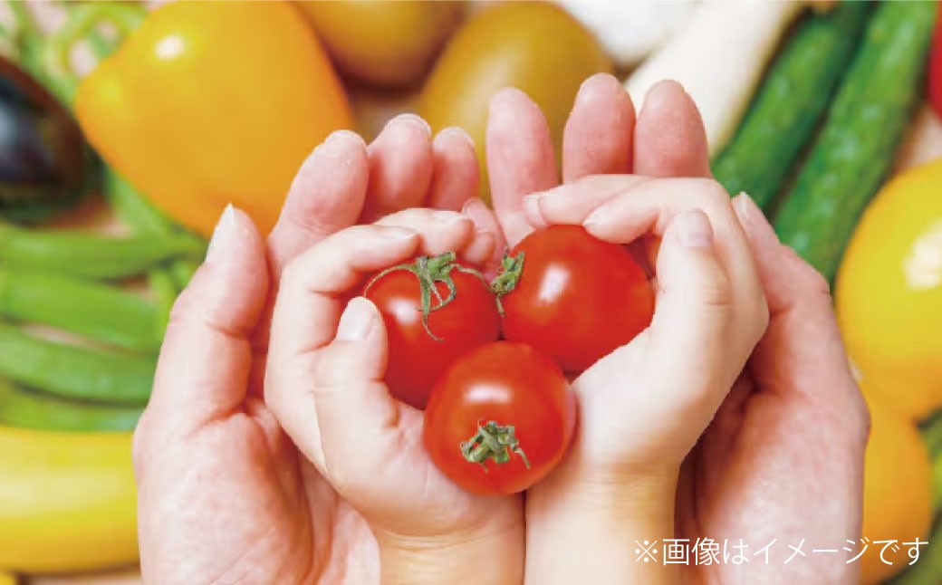 【6ヶ月連続定期便】 【令和7年度産】 熊本県（七城）産のお米と熊本県産の野菜ときのこ お米（2kg）・野菜＆きのこ（7～8品）