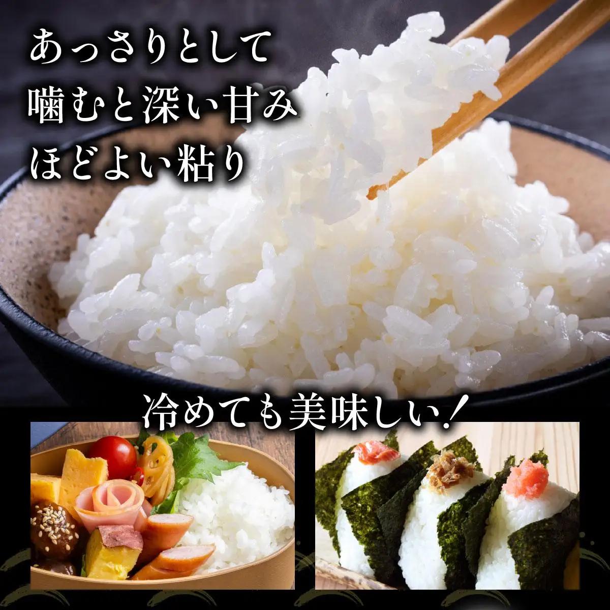 ＜先行予約＞令和8年産 ななつぼし 5kg (5kg×1袋) 精米【a161-004】