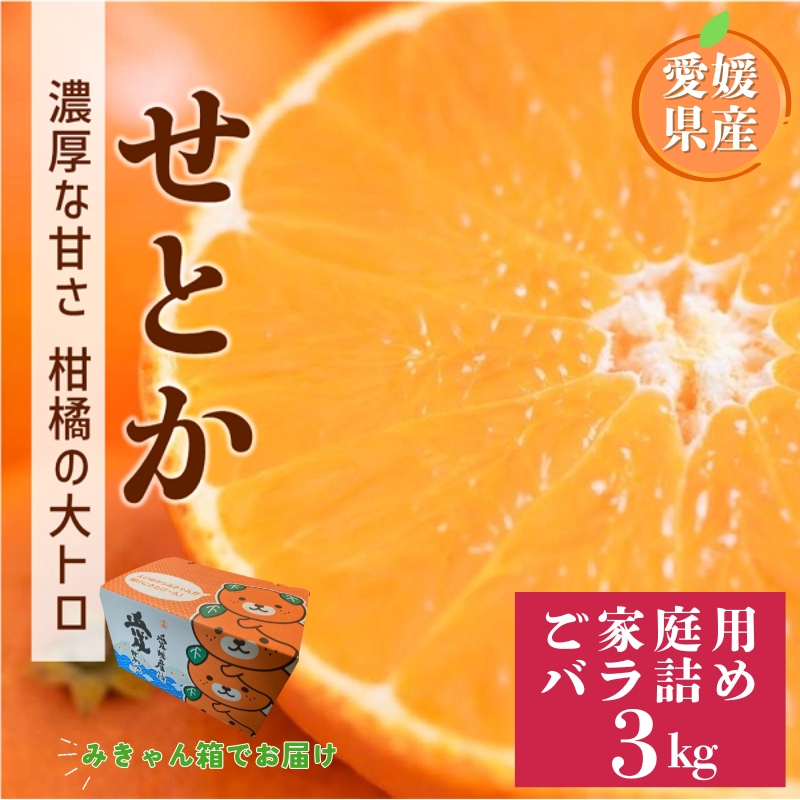 【2027年先行予約】せとか 3kg バラ詰め Mサイズ以上 【2027年2月上旬より順次発送予定】 みきゃん箱 愛媛 数量限定 愛媛県産 人気 柑橘 フルーツ 国産 おすすめ 伊予市｜B558