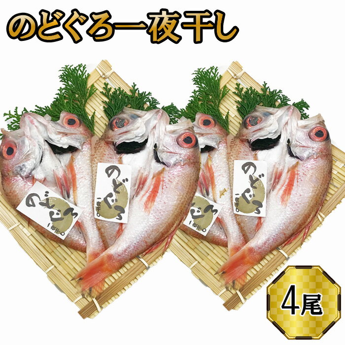 【ふるさと納税】のどぐろ　一夜干し2尾セット×2箱セット | ギフト お中元 お歳暮 父の日 母の日 包装 のし 対応可 お取り寄せグルメ