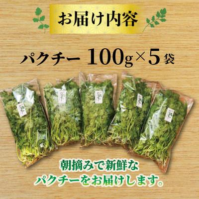ふるさと納税 久御山町 パクチー500g |  | 03