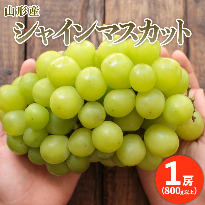 【ふるさと納税】ぷりぷりの大房シャインマスカット 1房(800g以上) 【令和8年産先行予約】FU20-466 くだもの 果物 フルーツ 山形 山形県 山形市 お取り寄せ 2026年産