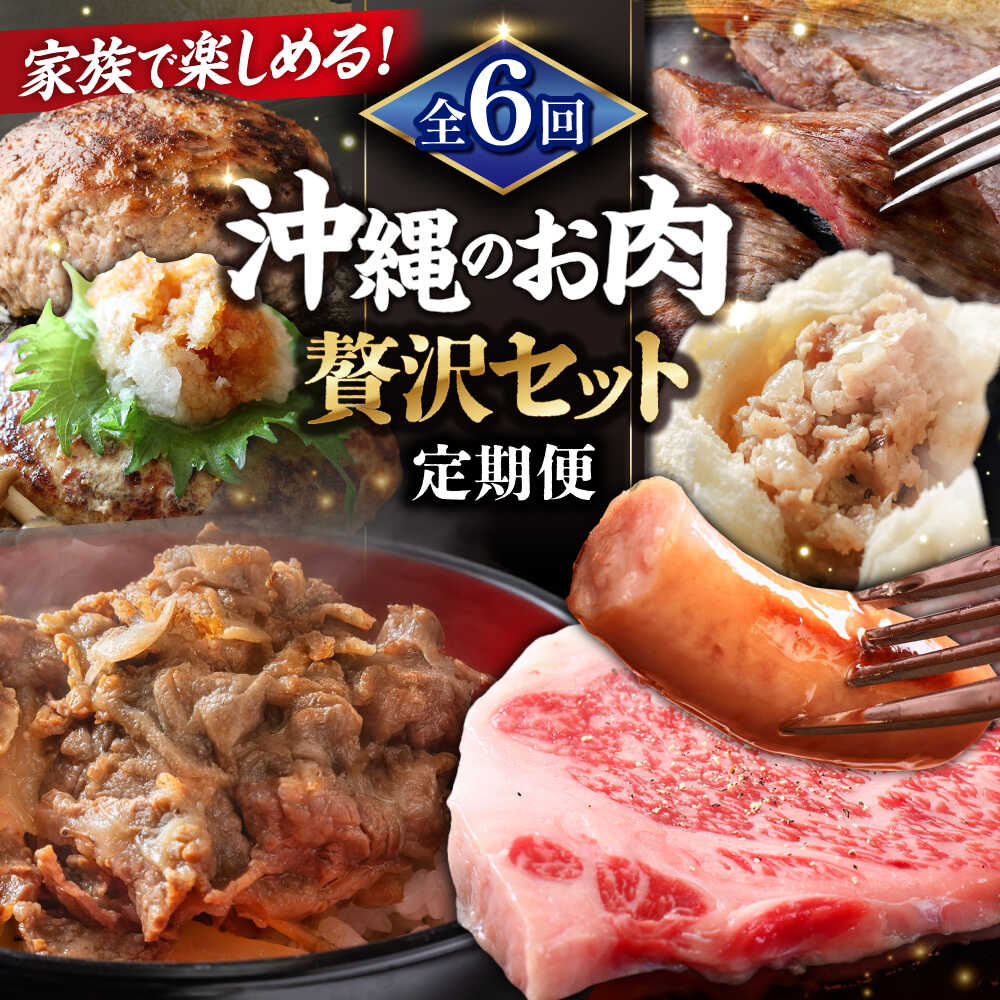 【ふるさと納税】【全6回定期便】家族で満喫！沖縄のお肉贅沢セット【沖縄市】ハンバーグ あぐー 石垣牛 ステーキ 焼肉 冷凍 ギフト お取り寄せ 母の日 父の日 沖縄市 / お肉屋本店 / 豚々茶舗 / TESIO / 肉のサブロー[BCZZ034]