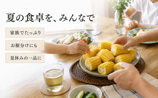 【先行予約】とうもろこし ゴールドラッシュ Lサイズ 約10kg 約28本 岩手県岩手町産 スイートコーン トウモロコシ とうきび コーン 野菜 夏野菜 産地直送 2027年発送