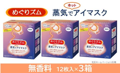 SA2196　めぐりズム 蒸気でホットアイマスク　無香料　36枚(12枚入×3箱)