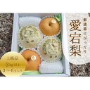 【ふるさと納税】岡山県産 きよとう自慢の愛宕梨 上級品3～6玉入【1370290】