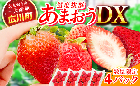 【先行予約】あまおう DX等級 2ケース（270g×4P） / あまおう[AFAB004]