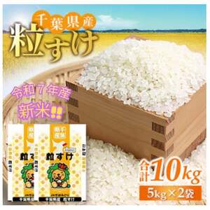 【令和7年産　新米予約】千葉県産　粒すけ　精米10kg(5kg×2袋)【1628066】
