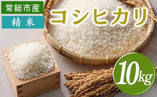令和7年産 精米 コシヒカリ 10kg 茨城県常総市産