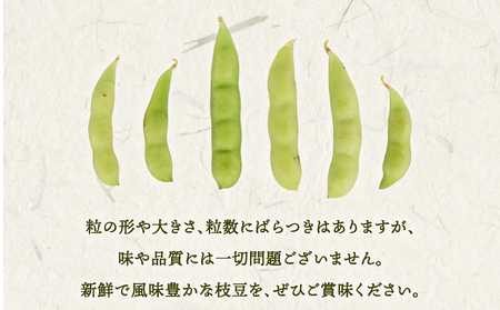 枝豆 約2kg 【枝豆】