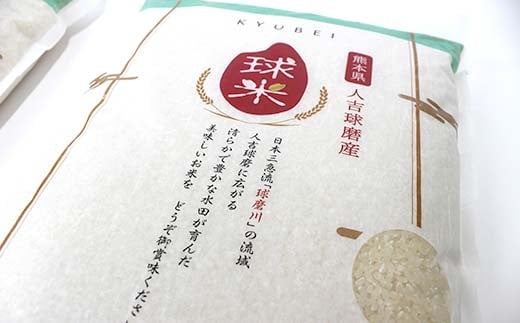 【令和7年度産】人吉球磨産白米 くまさんの輝き 10kg FKP9-681