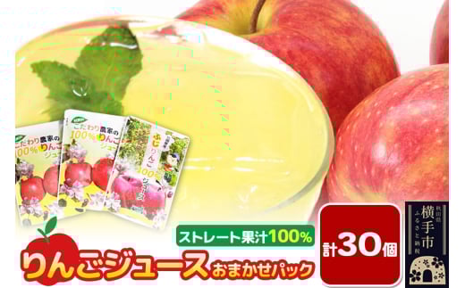 りんごジュース おまかせパック 計30個