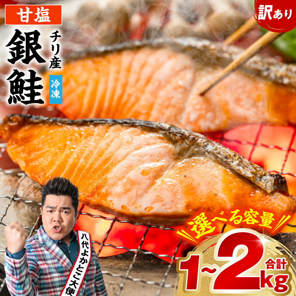 【ふるさと納税】 【訳あり】 銀鮭 切り身 1kg～2kg 【選べる内容量】 鮭 塩鮭 サケ 甘塩 切身 切り身 大容量 人気の鮭 カマ 希少 魚 サーモン シャケ お弁当 冷凍 送料無料