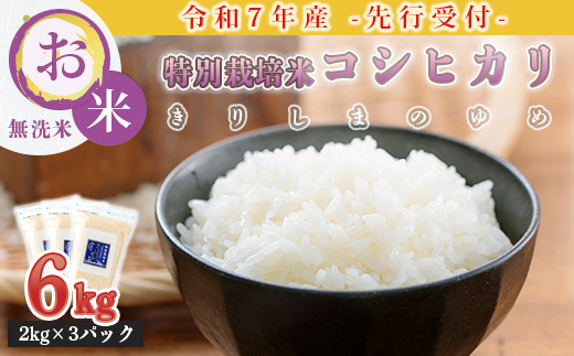 「令和7年産」【先行受付】霧島湧水が育む「きりしまのゆめ」コシヒカリ6kg無洗米　TF0664-P00026