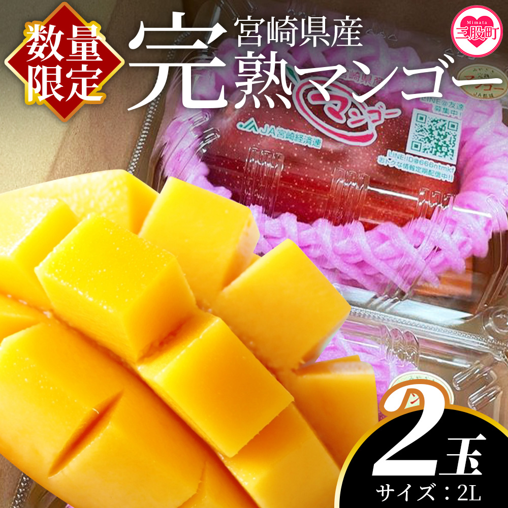 ＜【先行予約】【期間数量限定】2026年5月より順次発送 宮崎県産完熟マンゴー2L 2玉パック入り＞【MI232-yk-x1】【みまたんよかもん協同組合】マンゴー フルーツ デザート 甘い 果物 くだもの 季節限定 贅沢