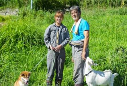 【R7年産新米】石墨清流米 特別栽培米 コシヒカリ 10kg ｜ 減化学肥料 減農薬 令和7年度産 愛媛県久万高原町 米 ※離島への配送不可 ※2025年10月上旬頃より順次発送予定