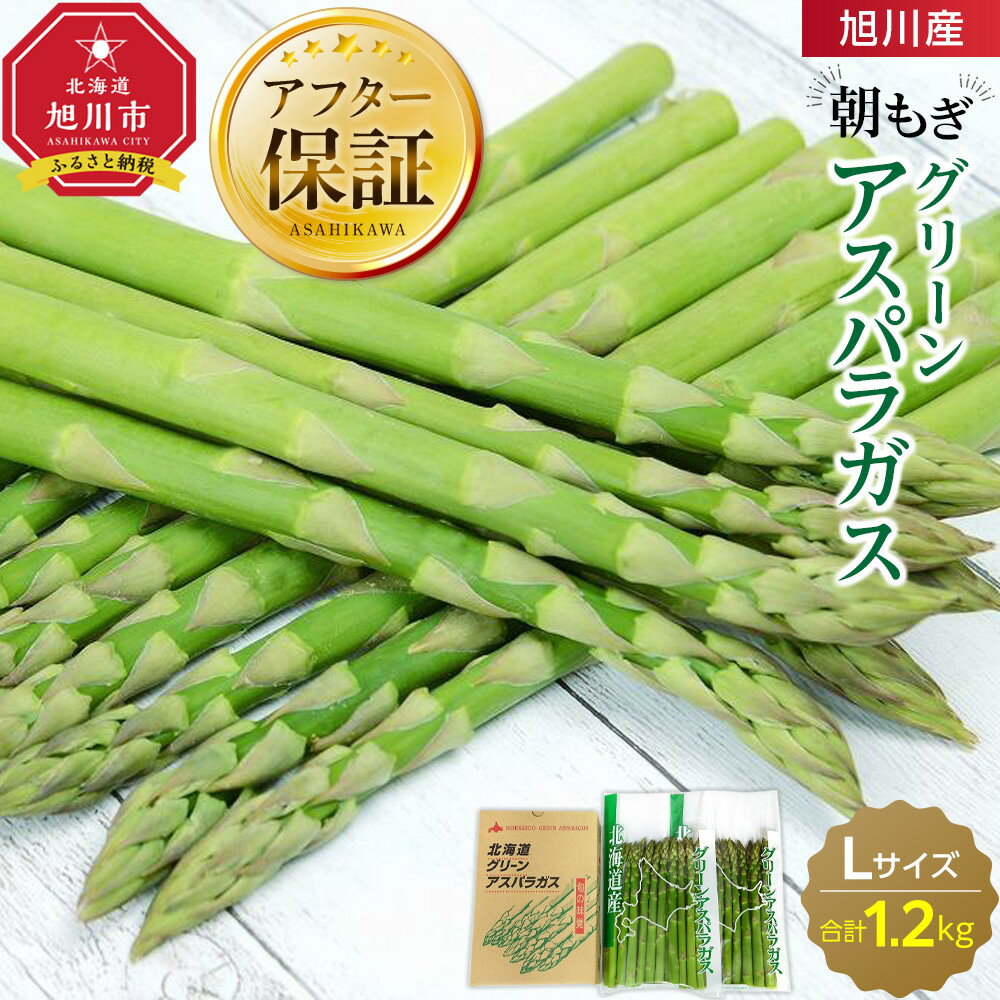 【ふるさと納税】旭川産朝もぎ！グリーンアスパラガスLサイズ1.2kg(2026年5月中旬発送開始予定)_01941 | アスパラ アスパラガス 春 とれたて 産直 野菜 朝どれ 旭川市 北海道 送料無料
