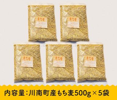 令和7年産 もち麦 2.5kg（500g×5袋） 【 ふるさと納税 国産 麦 もち麦 食物繊維 数量限定 宮崎県産 川南町産 送料無料 】
