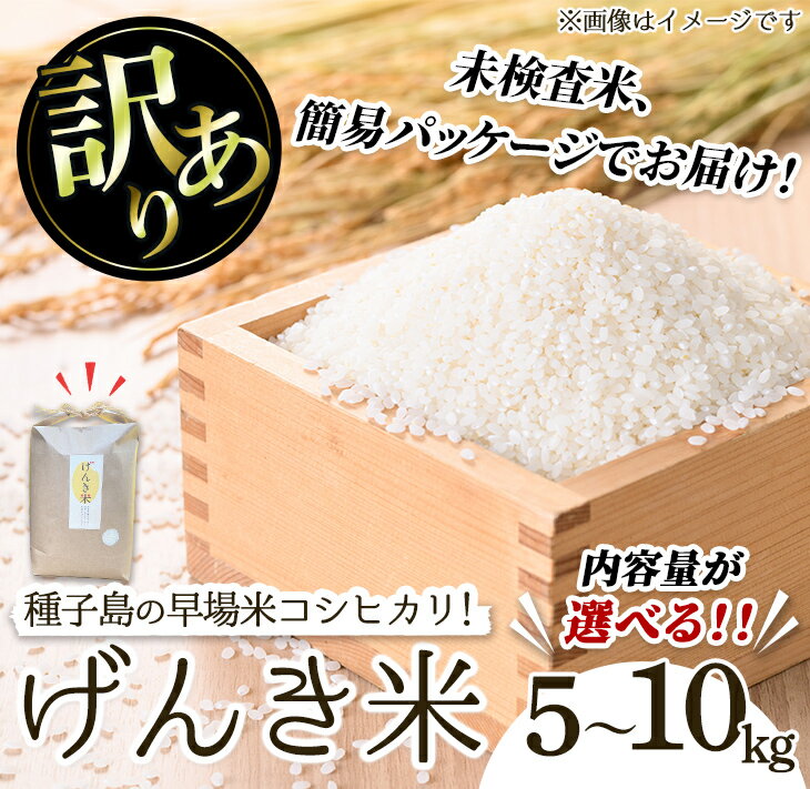 【ふるさと納税】＜内容量が選べる！＞＜訳あり・未検査＞早場米コシヒカリ！島のめぐみ げんき米(5～10kg) 鹿児島県産 種子島 こしひかり 未検査米 簡易 パッケージ 米 お米 おこめ 白米 お弁当 訳アリ 家庭用 フードロス 【油久げんき村】