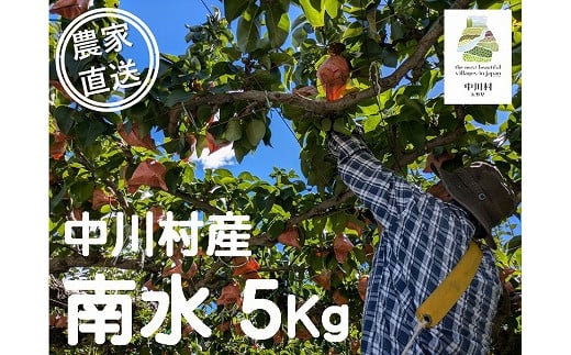 【農家直送】みなみ農園のなし（南水）約５Kg