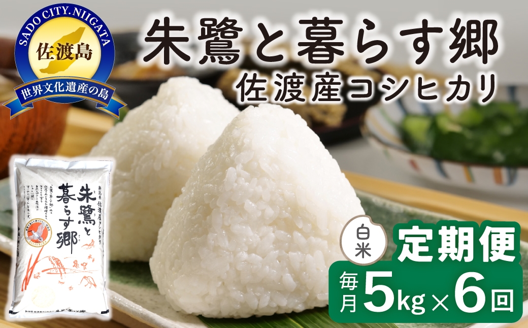 
                  【定期便 令和8年産新米 6か月】 佐渡島産コシヒカリ 白米 5kg 令和8年産新米 特別栽培米 | 新潟県産コシヒカリ 新潟産コシヒカリ 佐渡産コシヒカリ 新潟県産こしひかり 佐渡産こしひかり お米 米 こしひかり 白米 精米 おこめ コメ 5キロ にいがた さど 新潟県 佐渡市
                