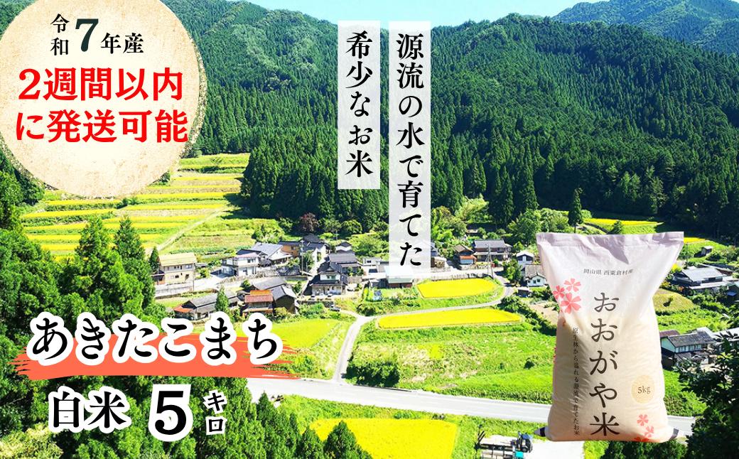 《令和7年産2週間以内に発送》白米 5kg 令和7年産 あきたこまち 岡山 「おおがや米」生産組合 G-bf-AEFA