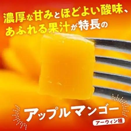 【2026年7月から順次発送・優品】燦々マンゴー1.0kg(2～3玉)_マンゴー_【1619776】