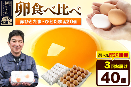 《定期便3ヶ月》赤ひとたま 20個・ひとたま 20個 計40個（業務用）