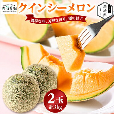 【ふるさと納税】【内山農園】いばらきメロンコンテスト2025クインシーメロン(2玉3kg)2026年5月より発送開始【配送不可地域：離島・沖縄県】【1645300】