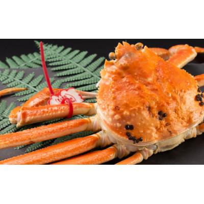 ふるさと納税 北栄町 鳥取県産タグ付きボイル松葉ガニ大1枚800〜900g |  | 02