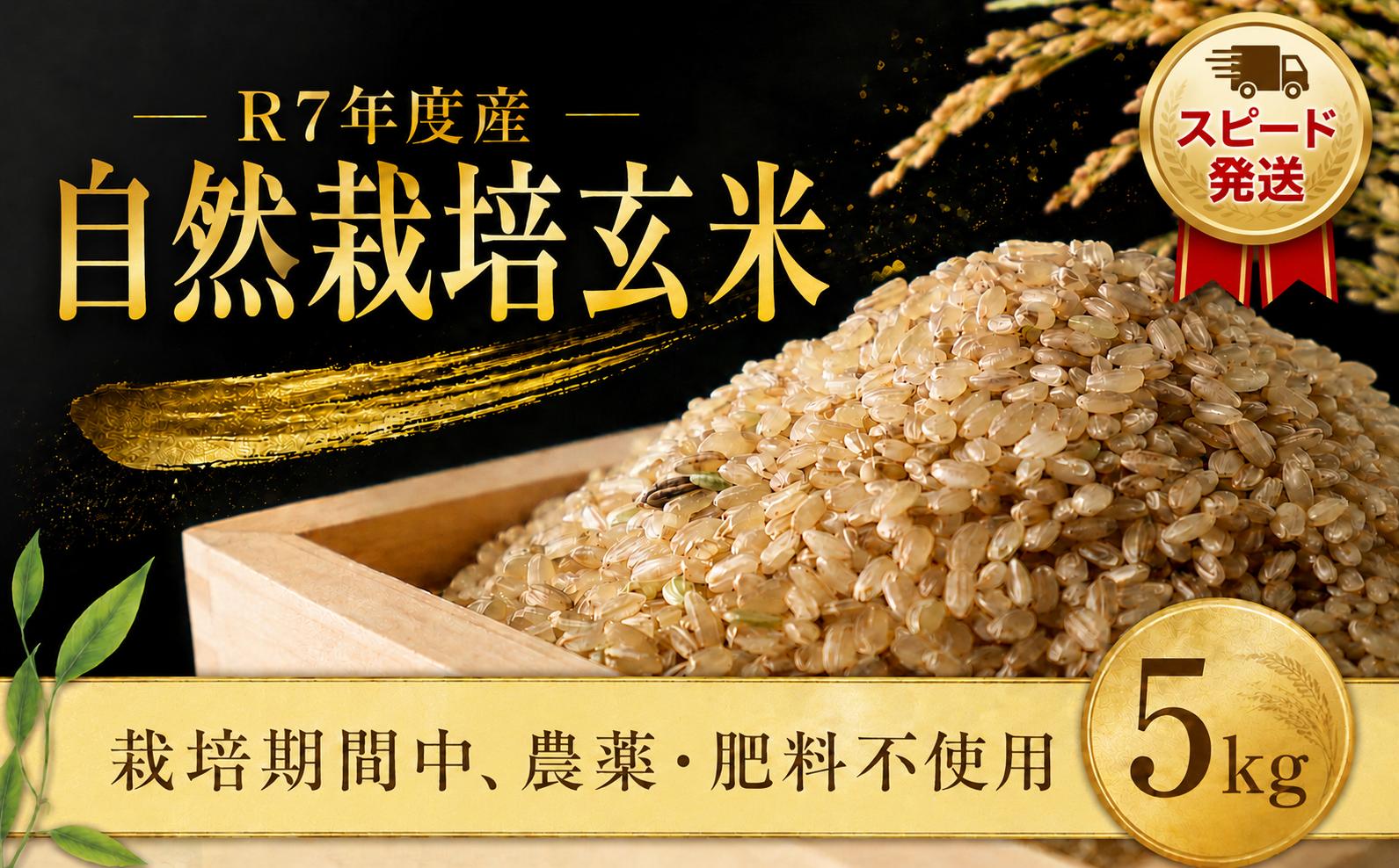
                  自然栽培米  5kg 玄米 【スピード発送】お米 オコメ おこめ こめ 米 コメ げんまい ご飯 食味 飯 ご飯 ライス 5キロ おむすび おにぎり 贅沢 農家 こだわり 産地直送 おすすめ ご褒美 贈答 取り寄せ お取り寄せ ギフト 国産 国産米 令和7年産 R7年産 まこと屋 千葉県 香取市 MKT008_R7
                